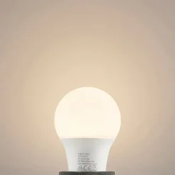 Arcchio LED-pære E27 A60 4,9W opal 3.000K 480 lm