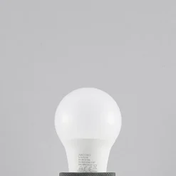 Arcchio LED-pære E27 A60 4,9W opal 3.000K 480 lm