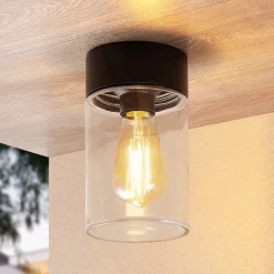 Arcchio Liljana udendørs loftslampe, IP65, sort