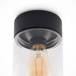Arcchio Liljana udendørs loftslampe, IP65, sort