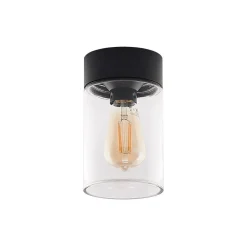 Arcchio Liljana udendørs loftslampe, IP65, sort