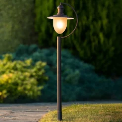 Aruba vejlampe, rustbrun