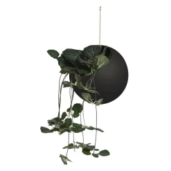 AYTM Globe blomsterkrukke, hængende, Ø 17 cm, sort, aluminium