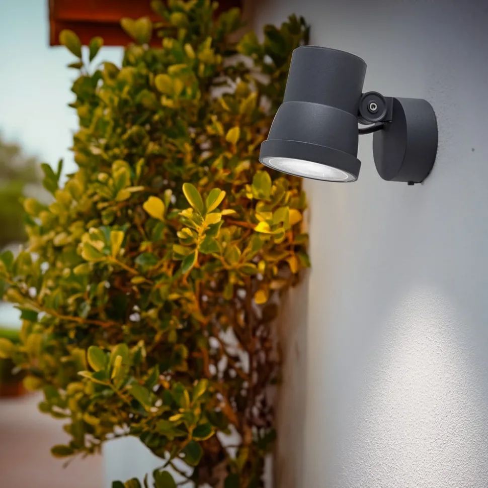 Bega LED-spotlight 84952K3, DALI, grafit, støbt aluminium