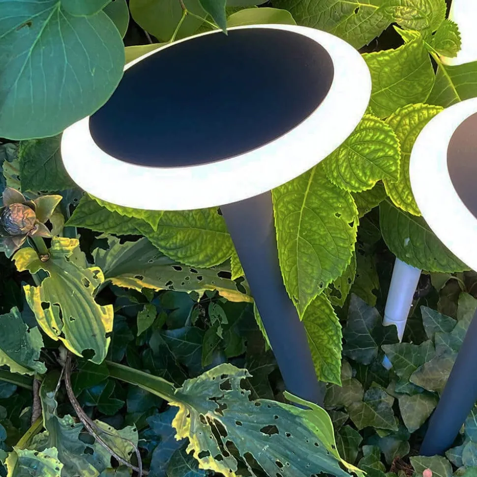 Bermuda LED-sokkellampe med jordspyd, sortgrå