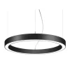 BRUMBERG Biro Circle Ring direkte tænd/sluk 100 cm sort 3000 K