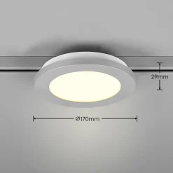 Camillus LED-skinnelampe til DUOline, titanium, Ø 17 cm