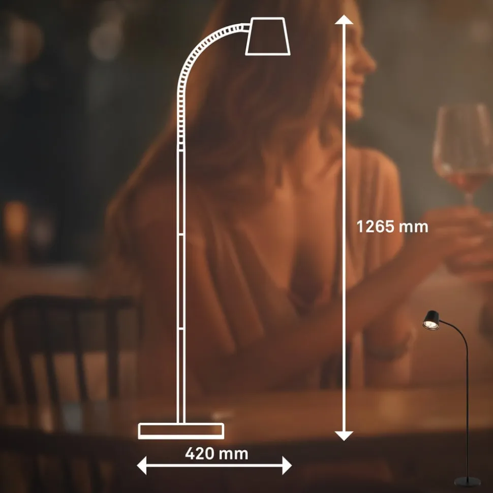 Cielo LED-gulvlampe, sort, touchdæmper, USB-kabel