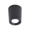 Downlight Livia Ø 6 cm sort/frostet kunstharpiks G9 4,000K