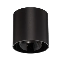 Downlight Point Tone, sort