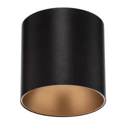 Downlight Point Tone, sort/guld