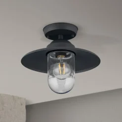 Edward udendørs loftlampe, antracit, Ø 27,5 cm, aluminium