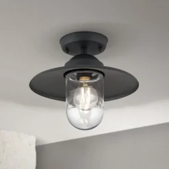 Edward udendørs loftlampe, antracit, Ø 27,5 cm, aluminium