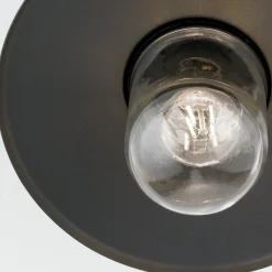 Edward udendørs loftlampe, antracit, Ø 27,5 cm, aluminium