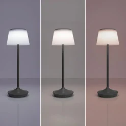 Emmi LED-bordlampe, solcelle, CCT, opladelig, grå