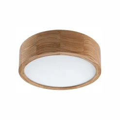 Envostar Caspian loftlampe, Ø 27 cm, IP54, eg