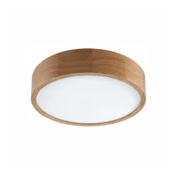 Envostar Caspian loftlampe, Ø 37 cm, IP54, eg