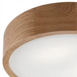 Envostar Caspian loftlampe, Ø 37 cm, IP54, eg
