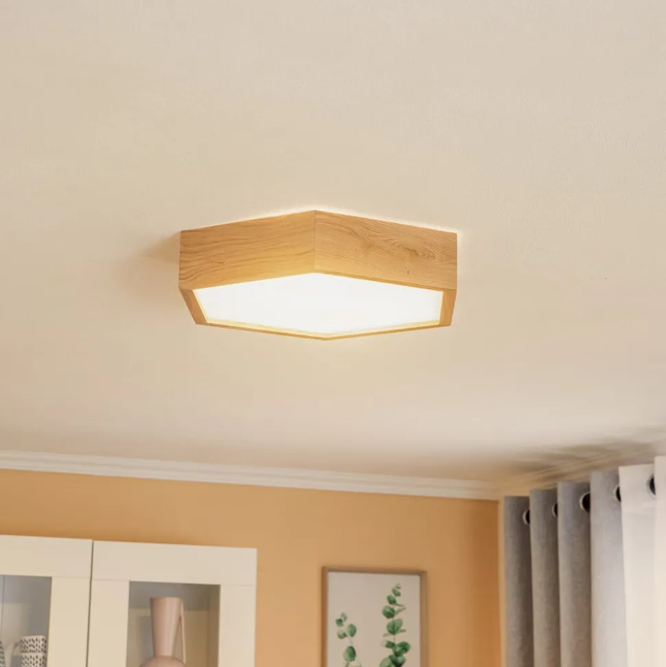Envostar loftlampe Hagen, eg