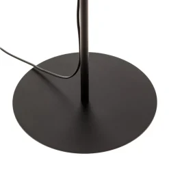 Envostar Veneer gulvlampe, kerneved ask