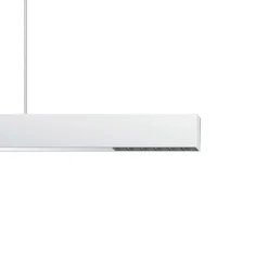 ERCO Compar P DALI up/down oval wide hvid/sort 940