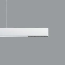 ERCO Compar P DALI up/down oval wide hvid/sort 940