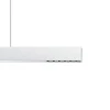 ERCO Compar P DALI up/down oval wide hvid/sølv 930