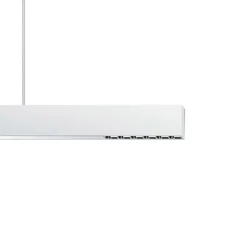 ERCO Compar P DALI up/down oval wide hvid/sølv 930