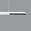 ERCO Jilly P DALI up/down, oval wide hvid/sort 840