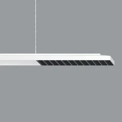 ERCO Jilly P DALI up/down, oval wide hvid/sort 830