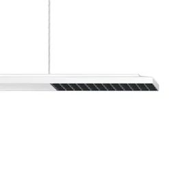 ERCO Jilly P DALI up/down, oval wide hvid/sort 830