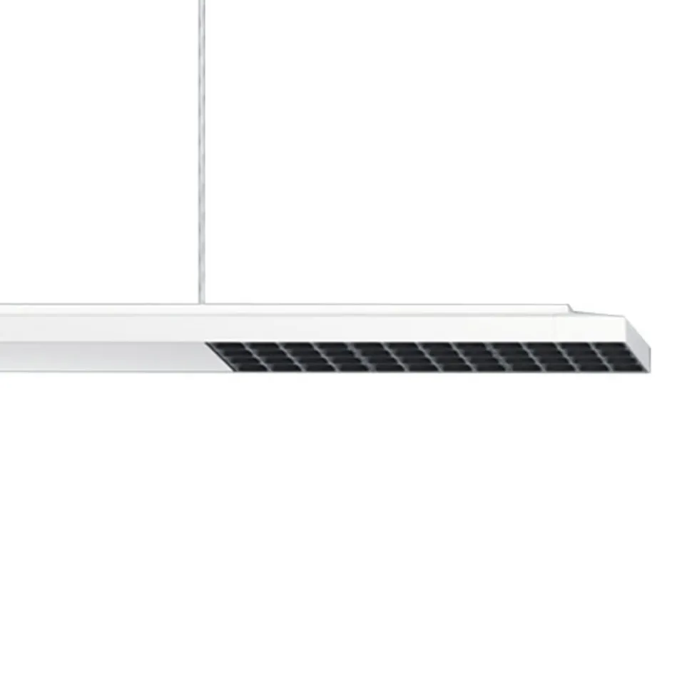 ERCO Jilly P DALI up/down, oval wide hvid/sort 830