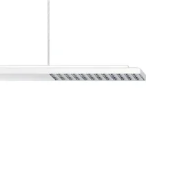 ERCO Jilly P DALI up/down oval wide hvid/sølv 840