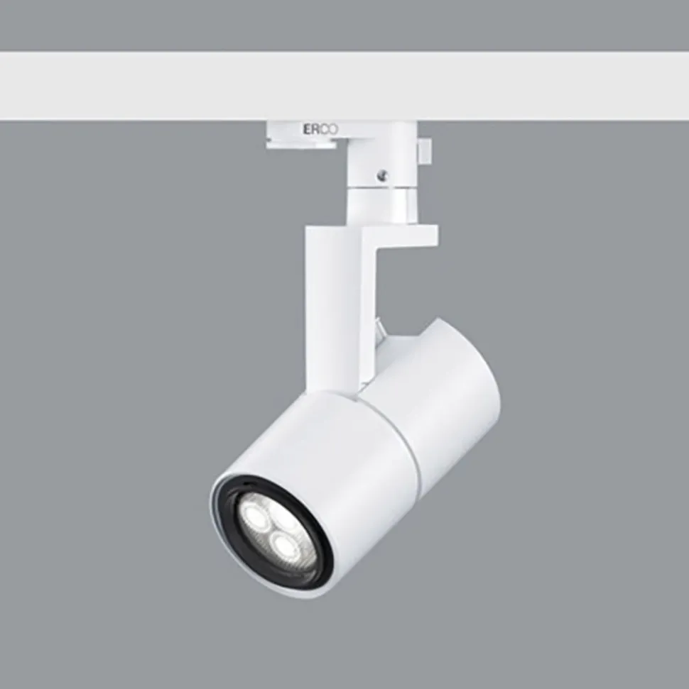 ERCO Parscan 230 V spot 6 W flood 940 hvid