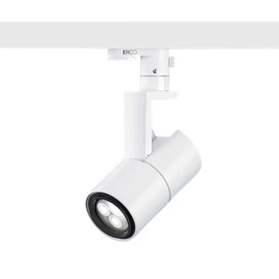 ERCO Parscan 230 V spot 6 W flood 940 hvid