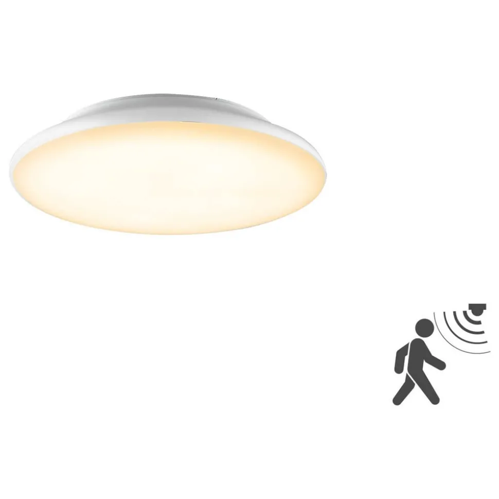 EVN Catino LED-loftslampe, sensor, 25 cm