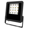EVN Panthera udendørs LED-spot IP65 30W 4.000K