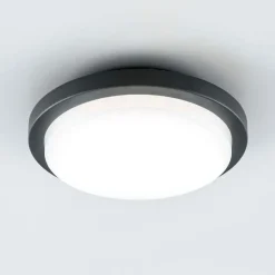EVN Tectum LED udendørs loftlampe, rund, Ø 24,6 cm