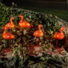 Flamingo LED dekorationslys i et sæt med 5 stk