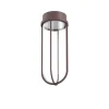 FLOS In Vitro Ceiling, 2700K, mørkebrun
