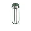 FLOS In Vitro Ceiling loftlampe, 2.700 K mørkegrøn