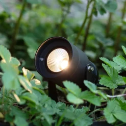 Garden 24 LED-spot, sort, 6 watt