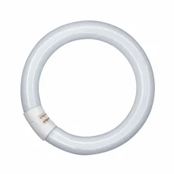 G10q 22W 865 Lumilux T9C ringformet lysstofrør
