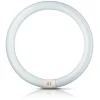 G10q 22W 865 ring-lysstofrør Master Circular TL-E