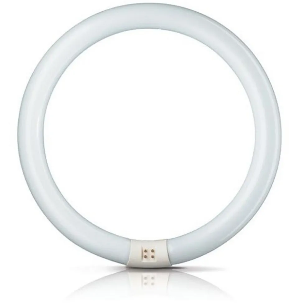 G10q 22W 865 ring-lysstofrør Master Circular TL-E