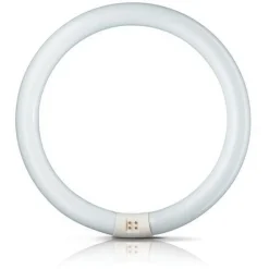 G10q 32W 865 ring-lysstofrør Master Circular TL-E