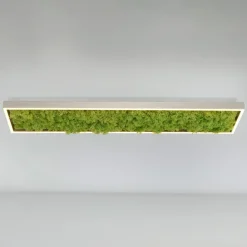 Green Knut LED-loftlampe med ægte mos