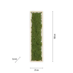 Green Knut LED-loftlampe med ægte mos