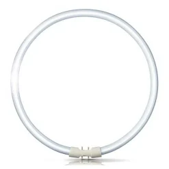 2GX13 60W 840 ringformet lysstofrør Master TL5