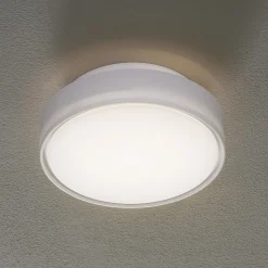 Hatton LED-loftlampe, IP65, 25 cm